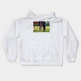 Fun at  Farm Kids Hoodie